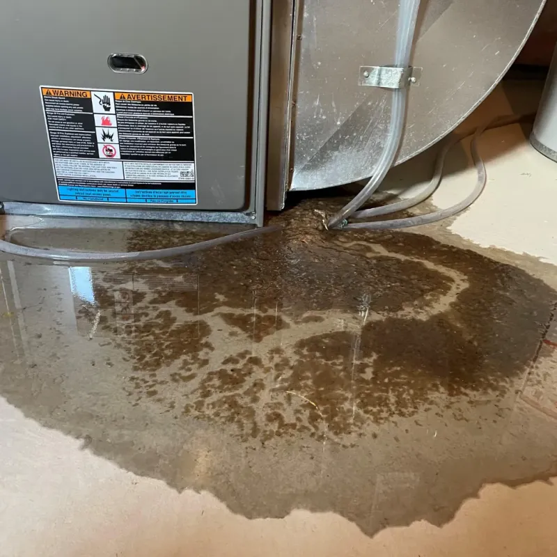 Appliance Leak Cleanup in Paulding County, OH